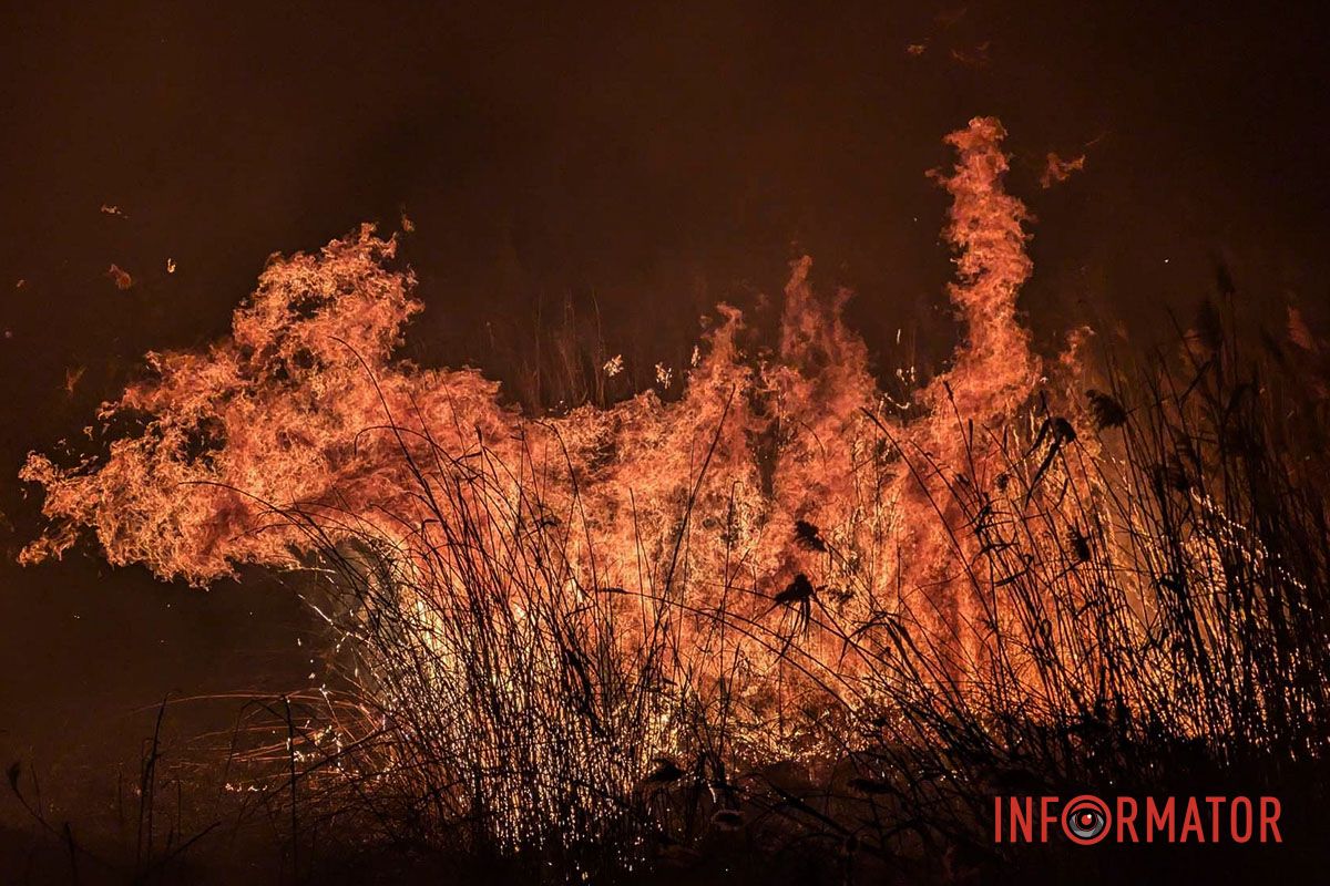 На виїзді з Дніпра сталася пожежа: рятувальники вже на місці 1