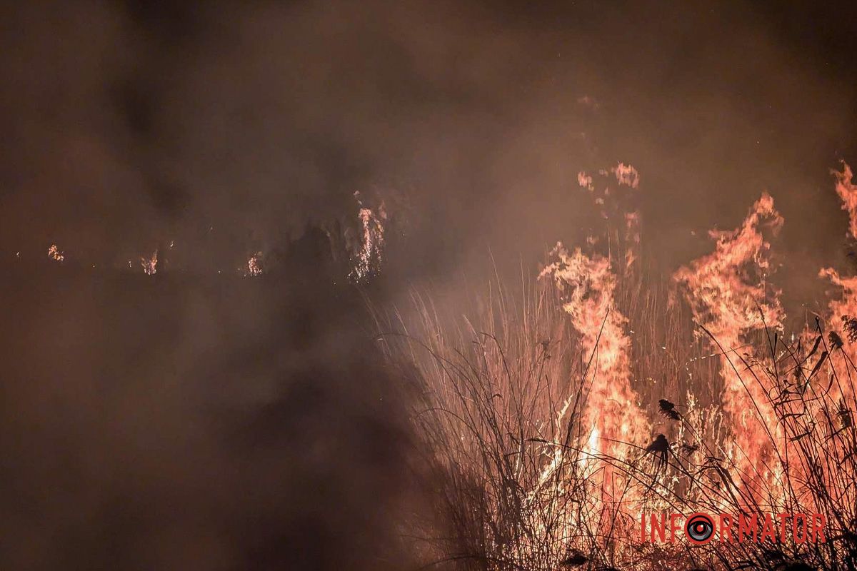На виїзді з Дніпра сталася пожежа: рятувальники вже на місці 4