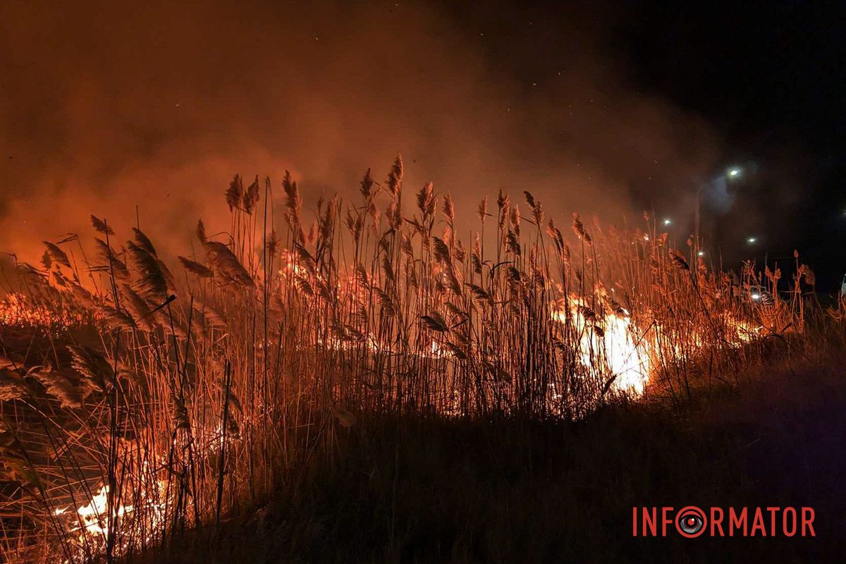 На виїзді з Дніпра сталася пожежа: рятувальники вже на місці 5