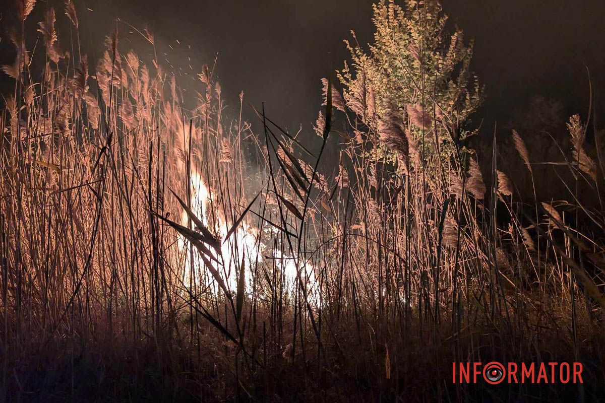 На виїзді з Дніпра сталася пожежа: рятувальники вже на місці 10