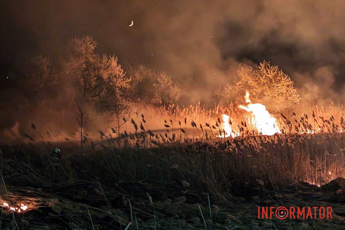 На виїзді з Дніпра сталася пожежа: рятувальники вже на місці 12