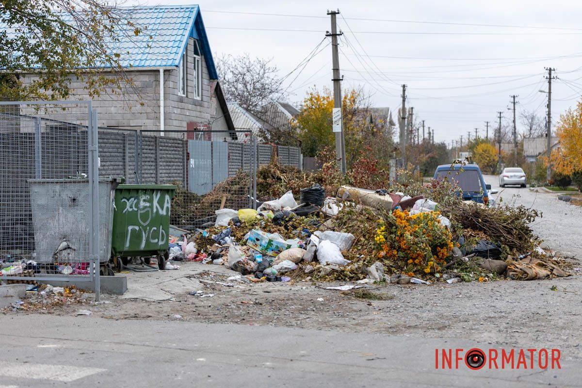 Купы мусора рядом с баками в Днепре