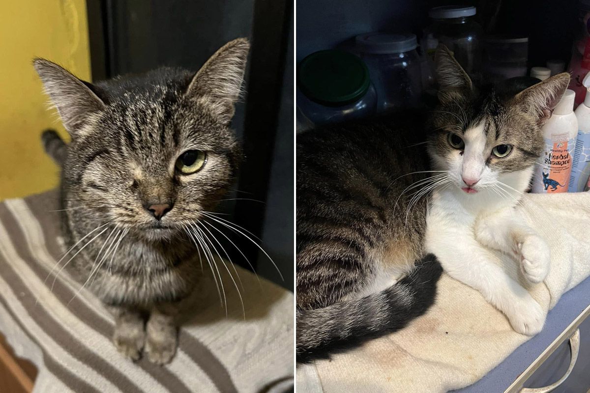 Вони чекають саме на вас!