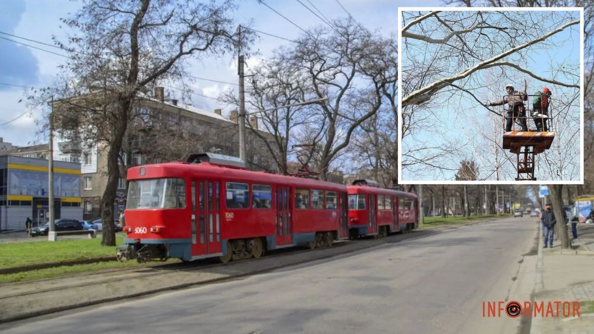 Видалятимуть аварійні дерева: у Дніпрі 9 листопада деякі трамваї та тролейбус змінять маршрути