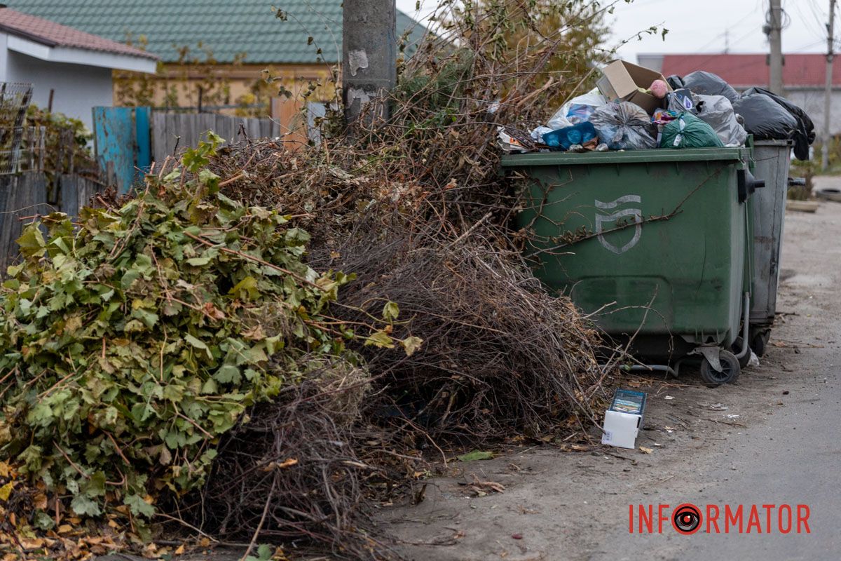 «Зелені відходи» - одна з причин, які впливають на накопичення сміття