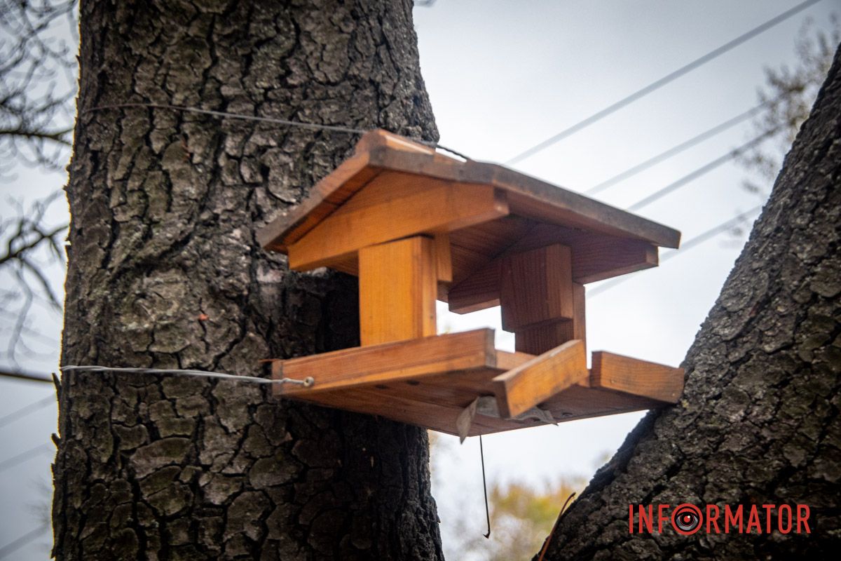 Новые трамвайные платформы и зонированные тротуары: ремонт Соборной площади в Днепре на завершающем этапе 24