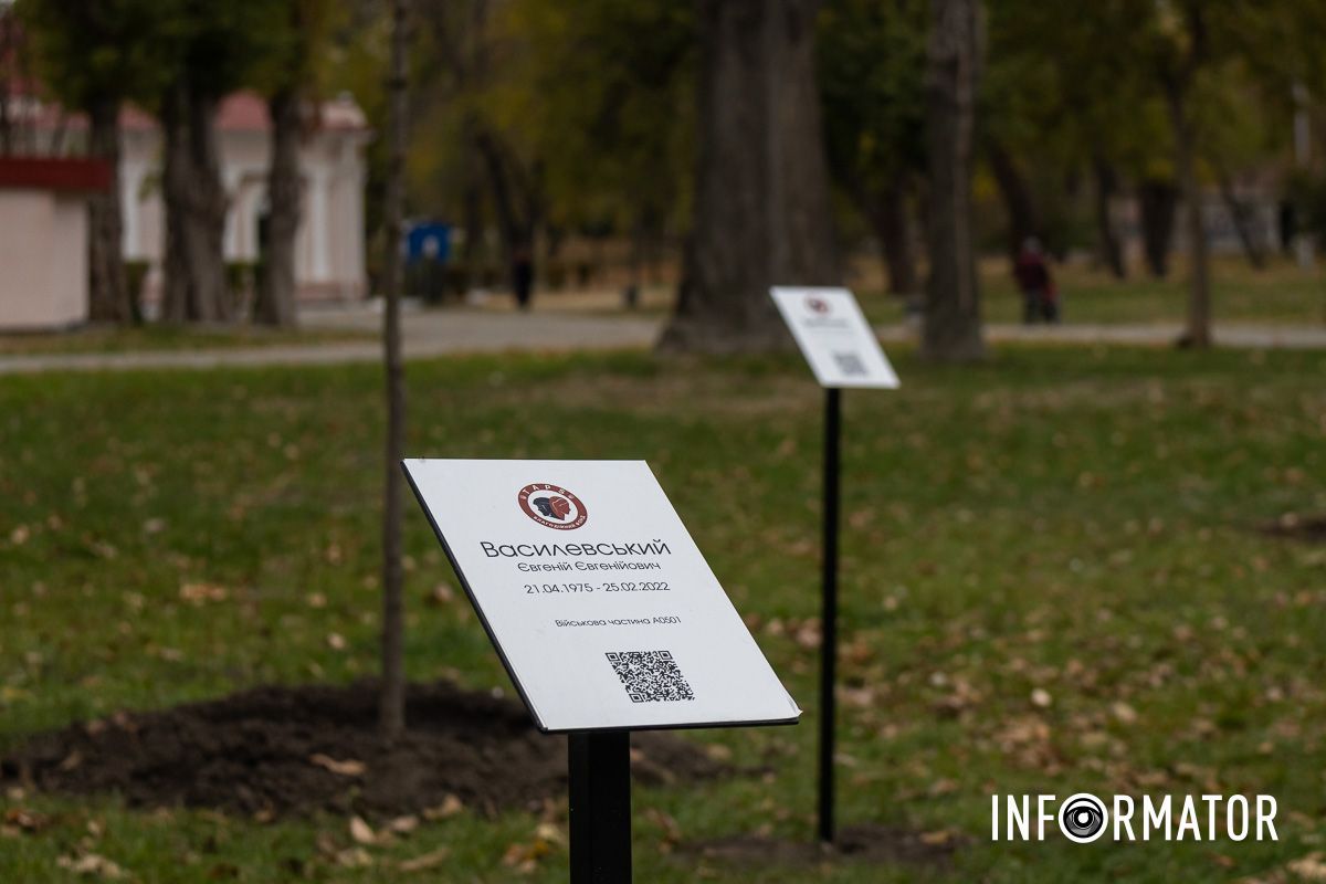 У парку Глоби висадили 31 клен У парку Глоби висадили 31 клен