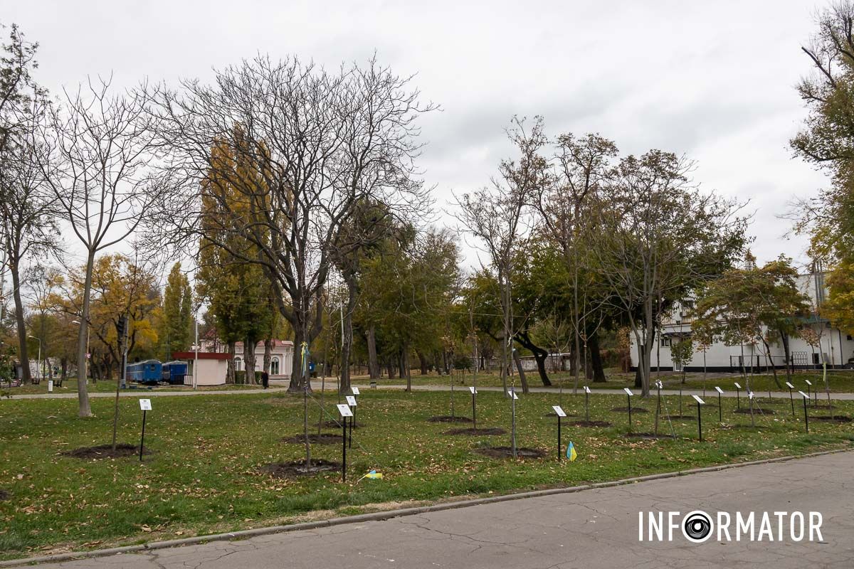 Загалом на Алеї налічується 61 клен Загалом на Алеї налічується 61 клен