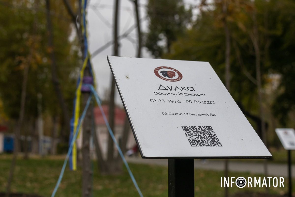 Дудка Дудка