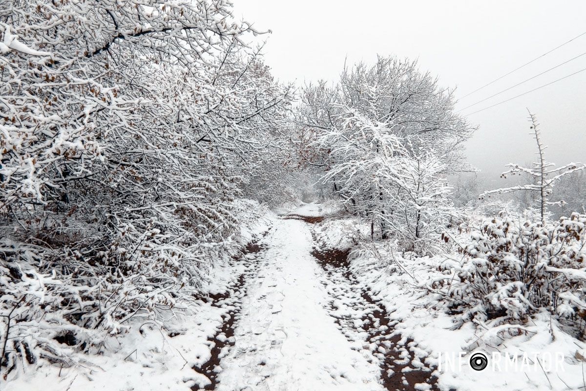 Под покровом снега