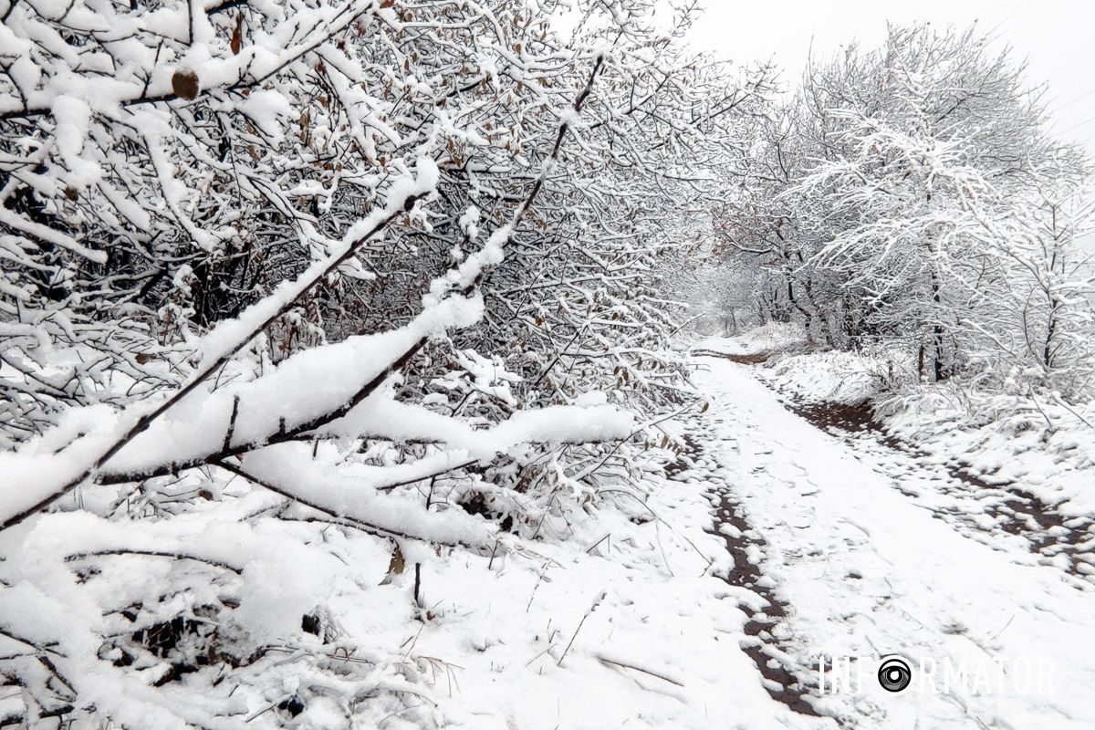 Первый снег лежит на дорожках города