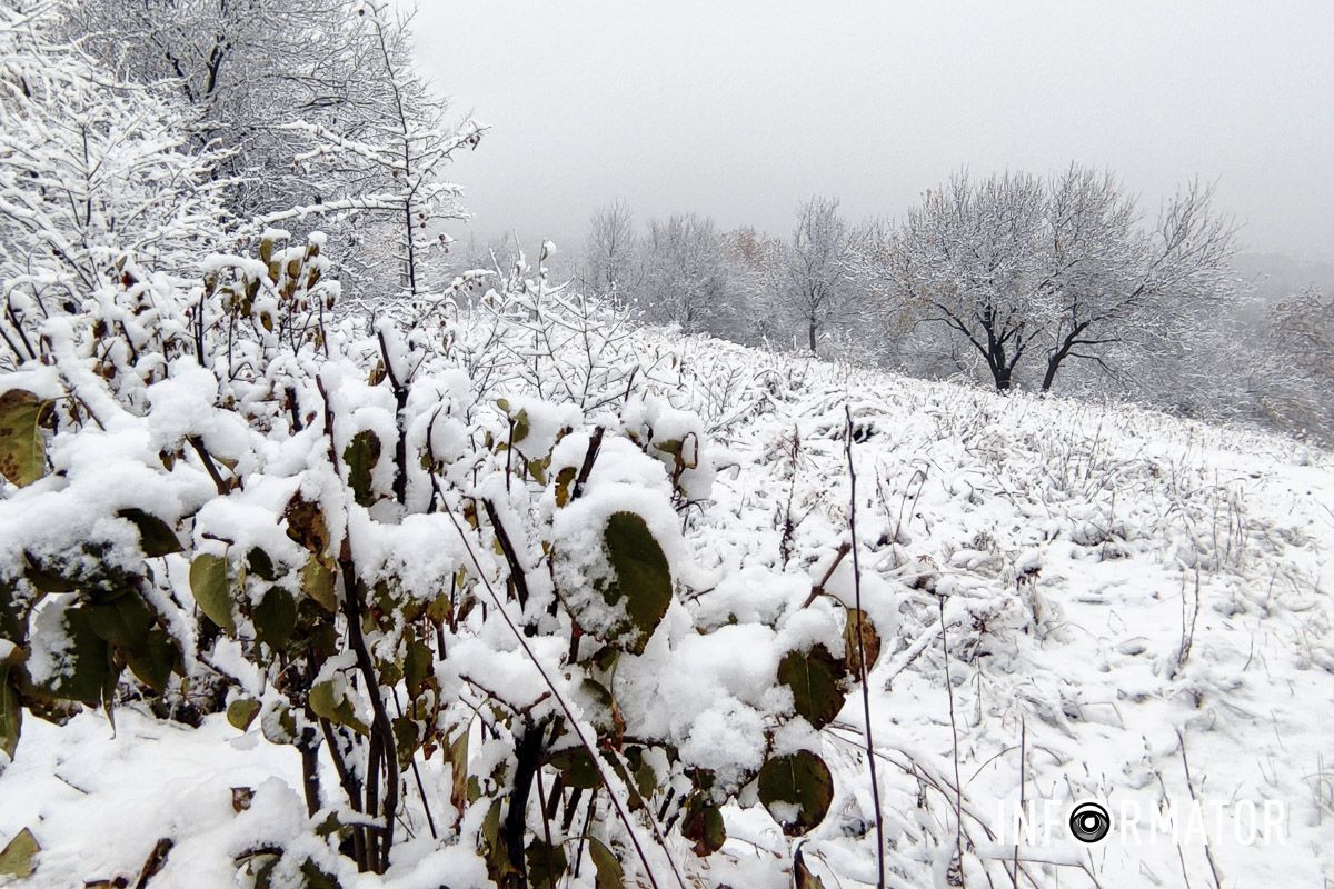 Первый снег в Днепре