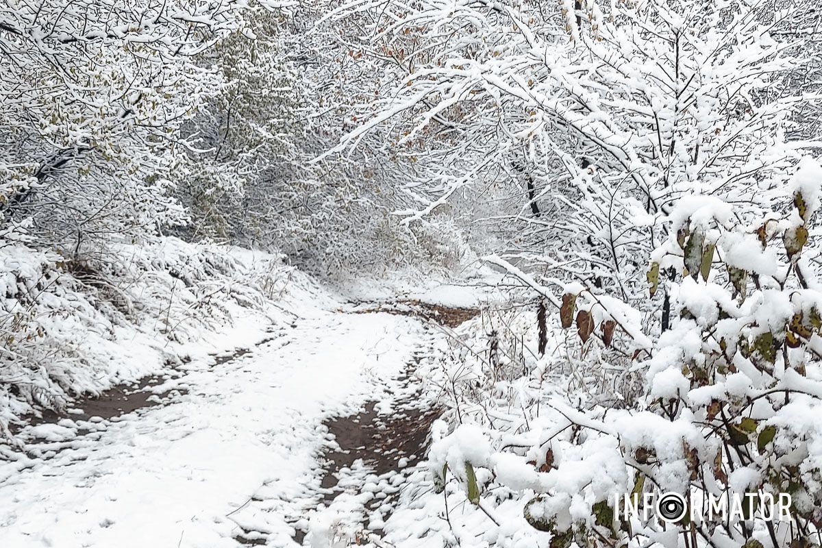 Утром 14 ноября он еще остался местами