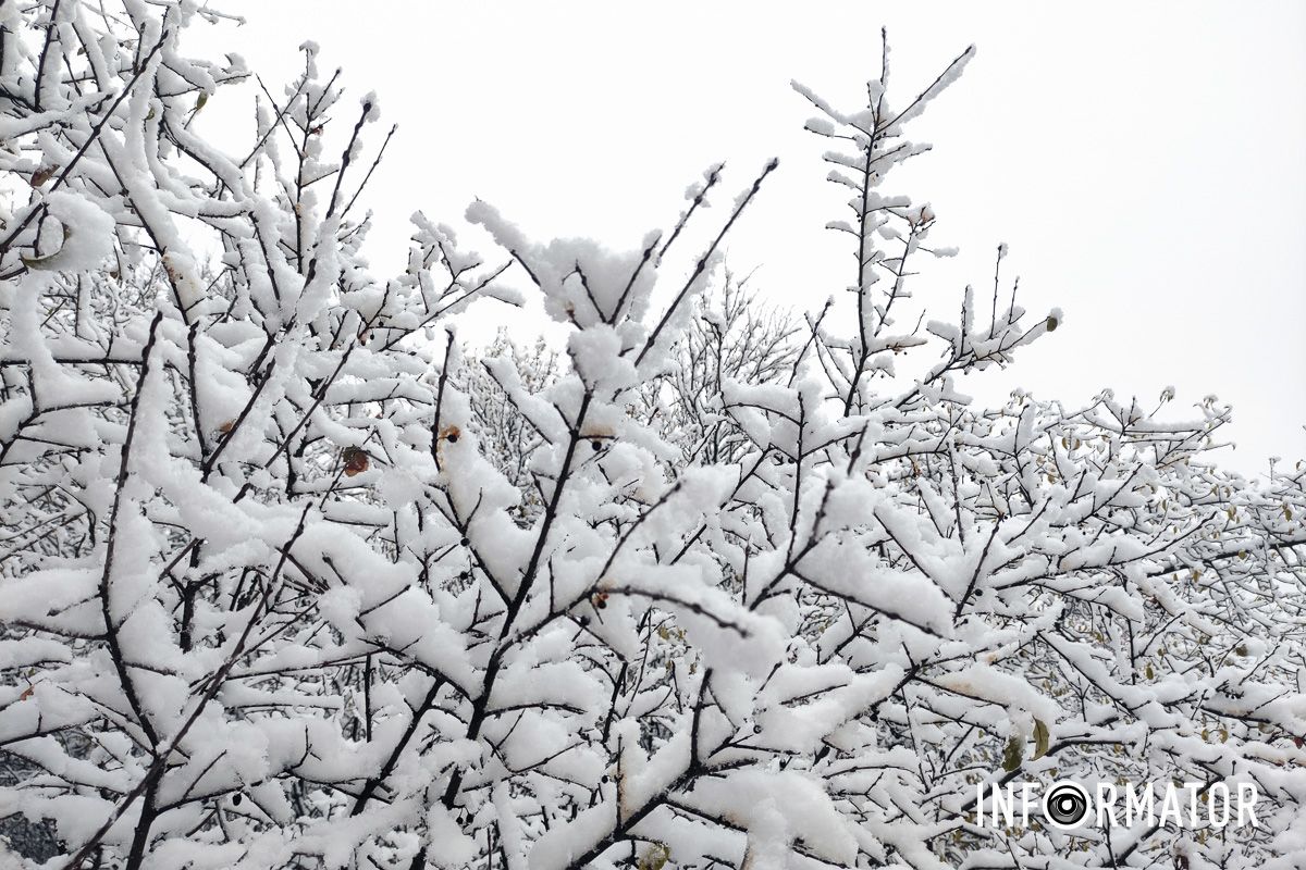 Жители города снимали, как белый покров постепенно покрывает улицы и парки
