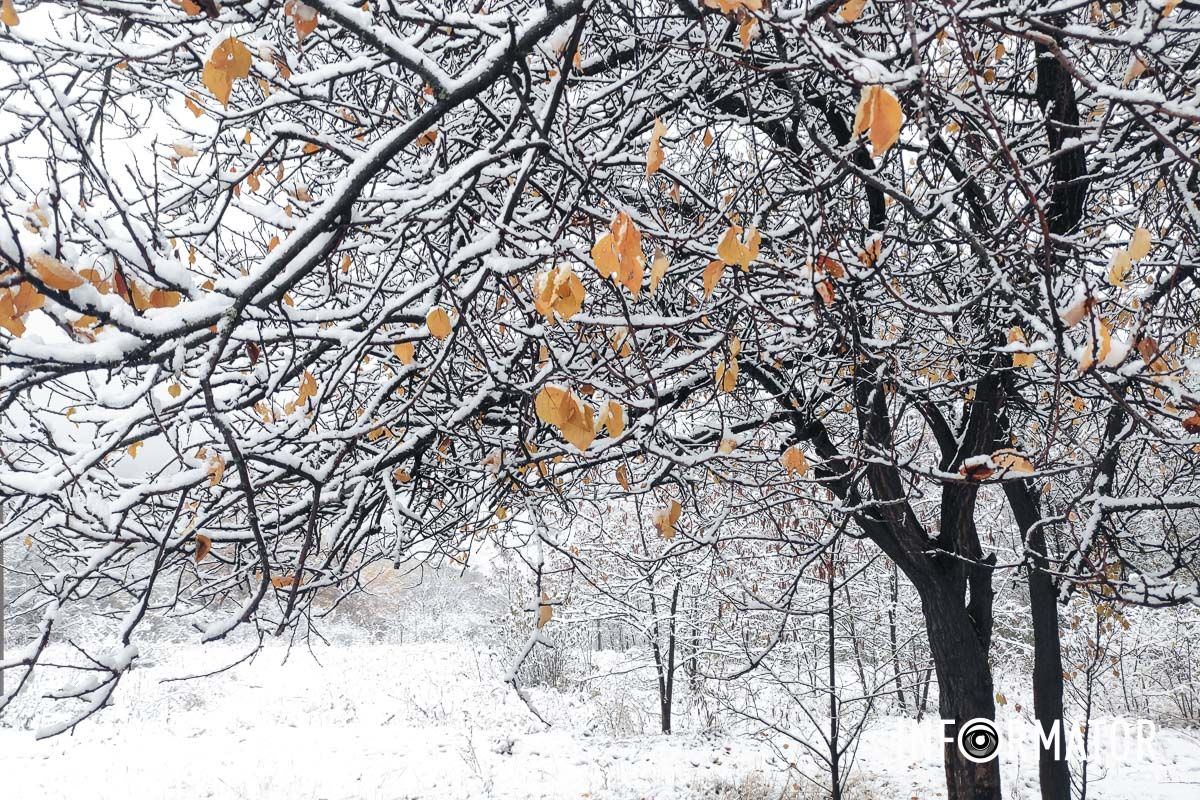 Вечером 13 ноября Днепр накрыл первый снег