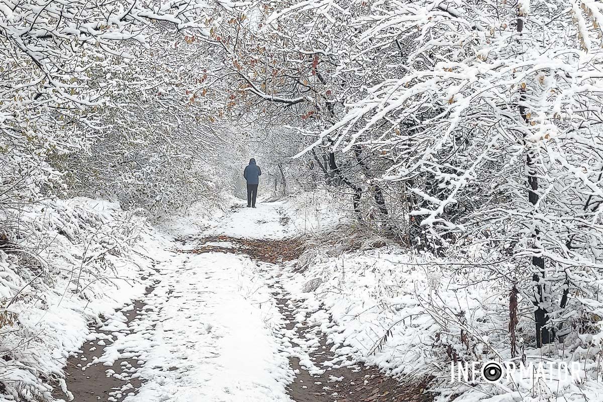 Зимняя сказка