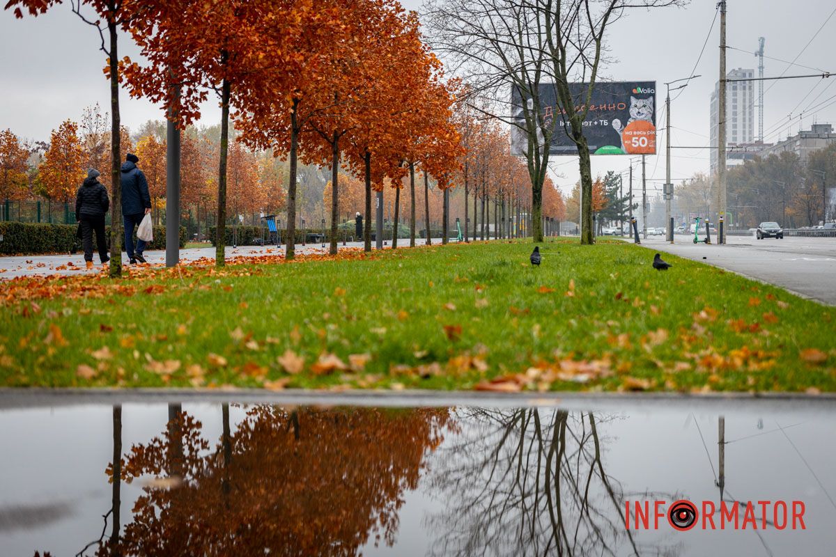 Контрасты Контрасты