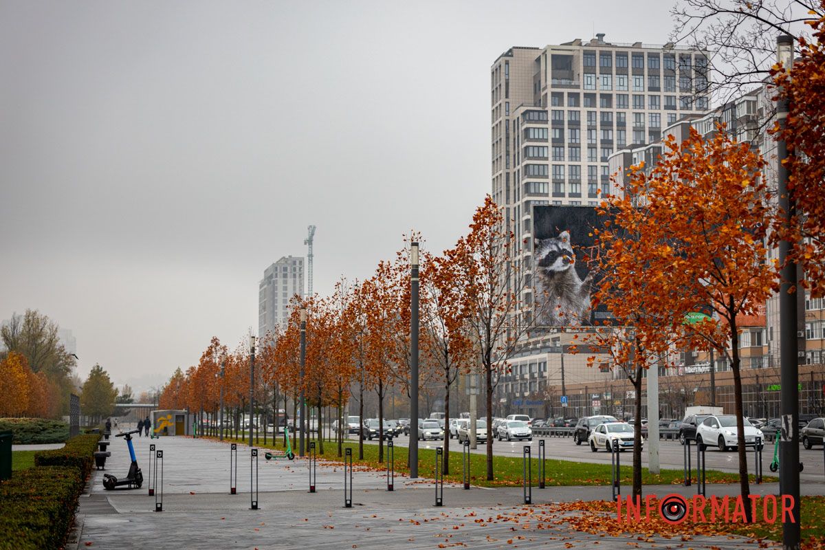 Здесь снега нет Здесь снега нет