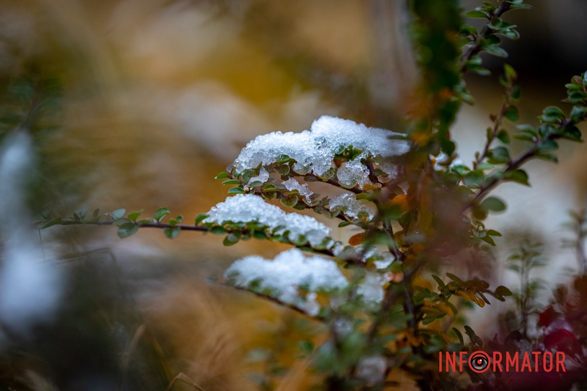 Ракурс Ракурс
