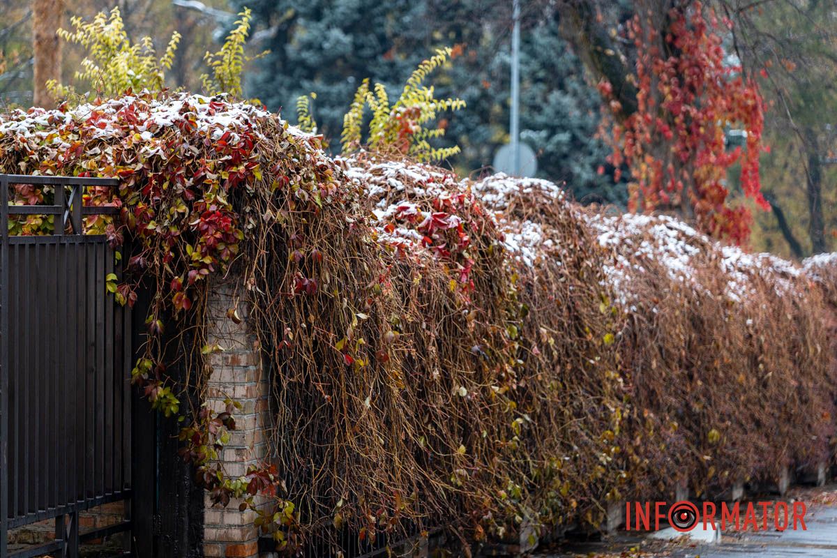 Днепр зимний Днепр зимний