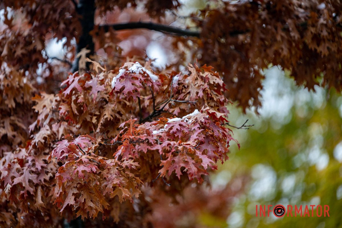 Какие цвета Какие цвета