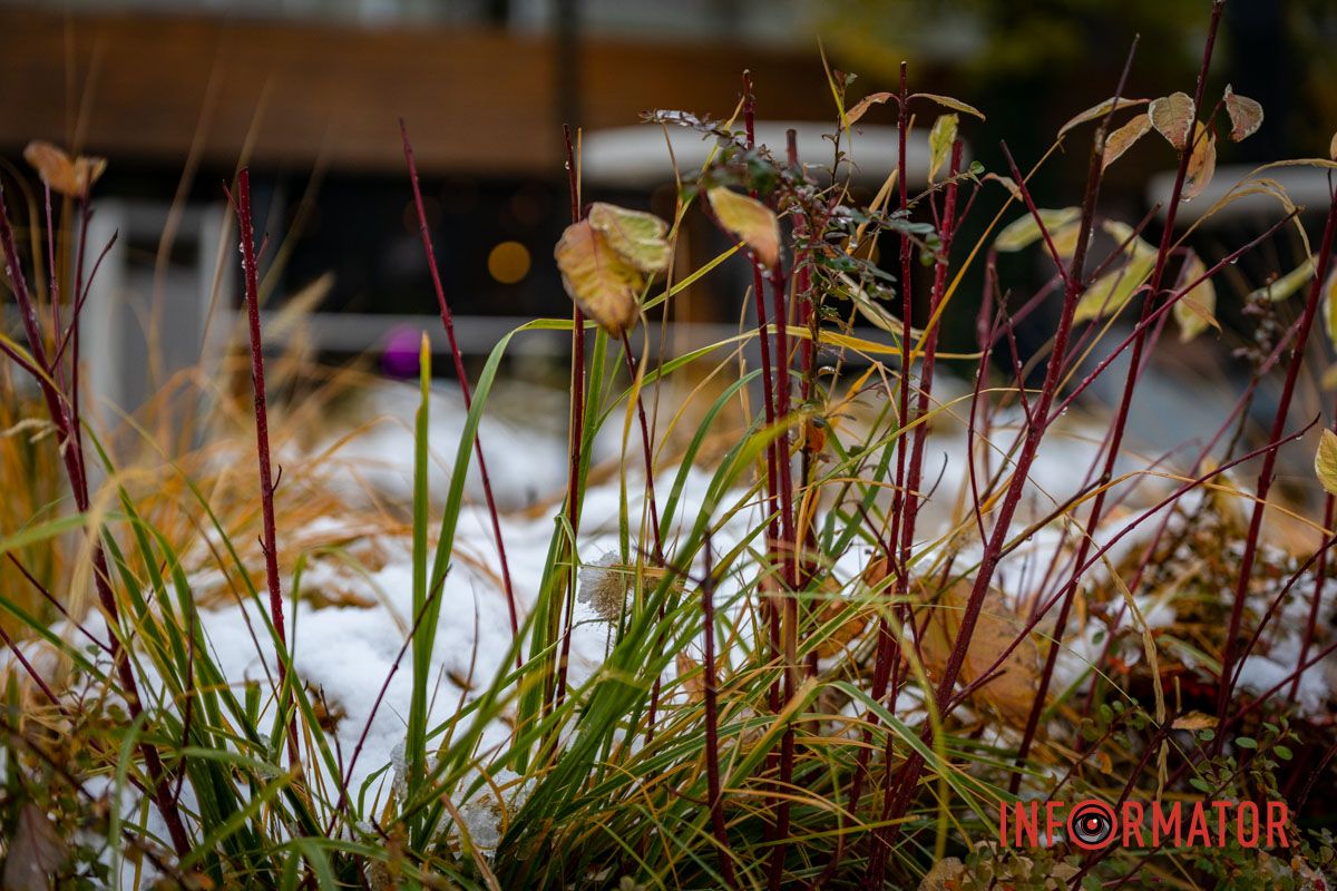 Белые виды утреннего Днепра Белые виды утреннего Днепра