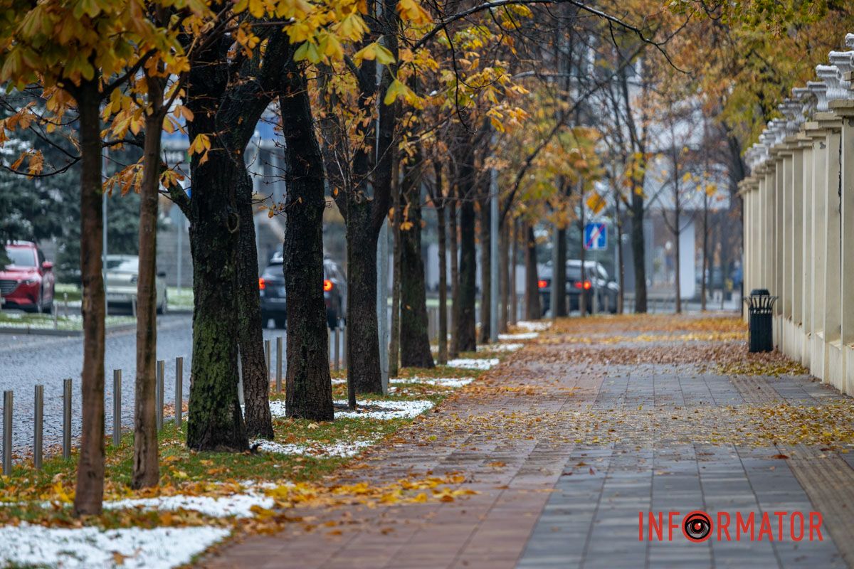 Деревья в парке в снегу Деревья в парке в снегу