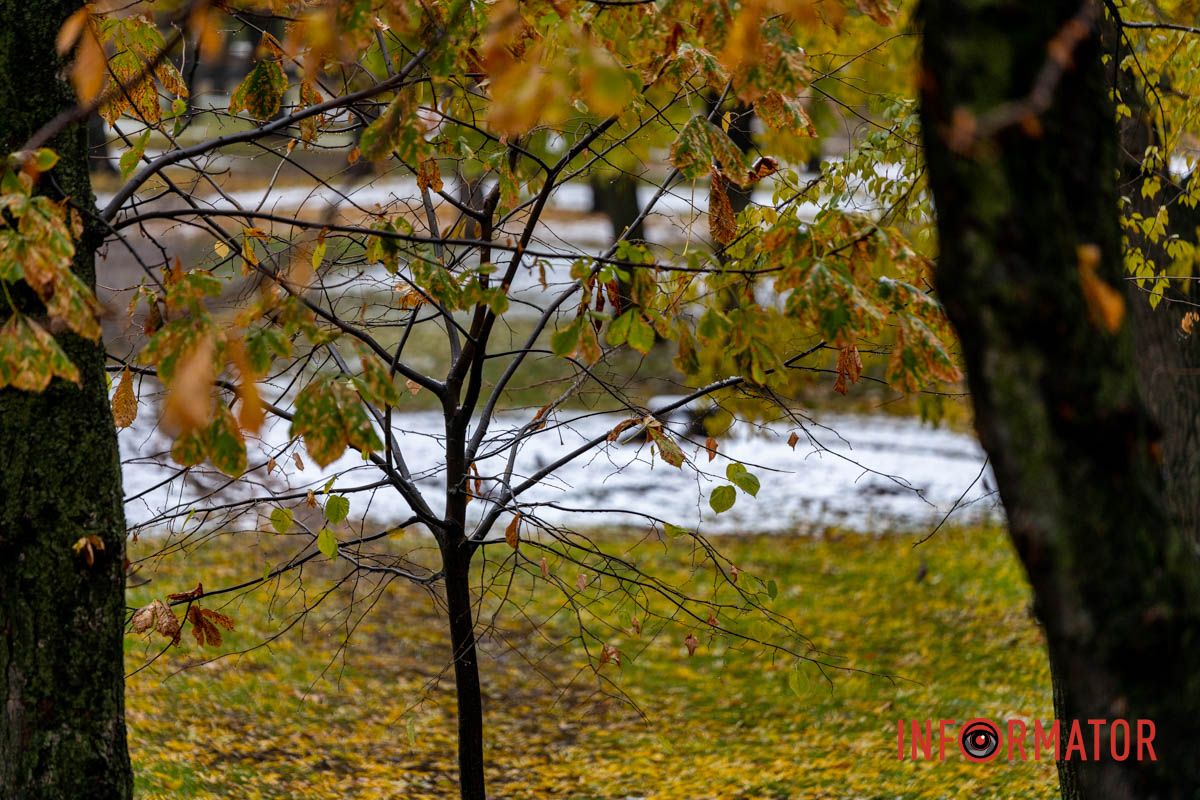 Время для зимних фото Время для зимних фото