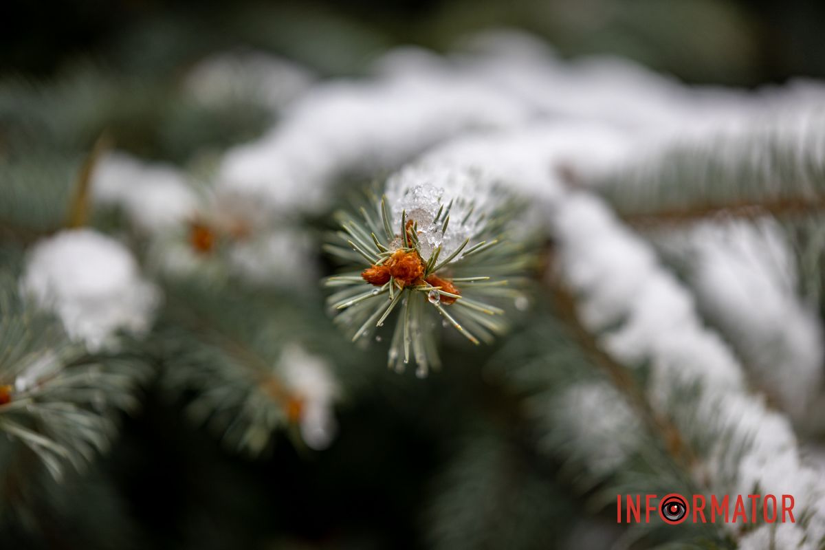 Парк в белой снежной одежде Парк в белой снежной одежде