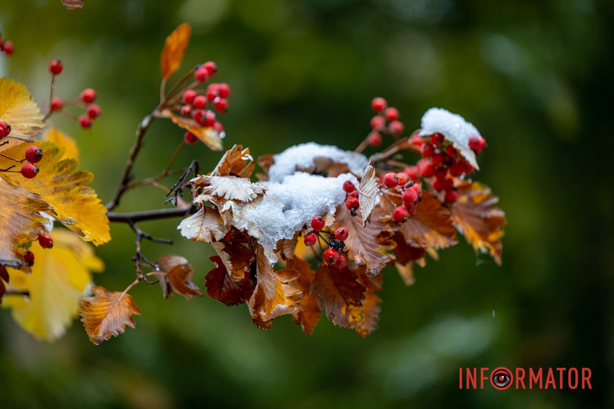 Тонкий снежный слой в центре Днепра Тонкий снежный слой в центре Днепра