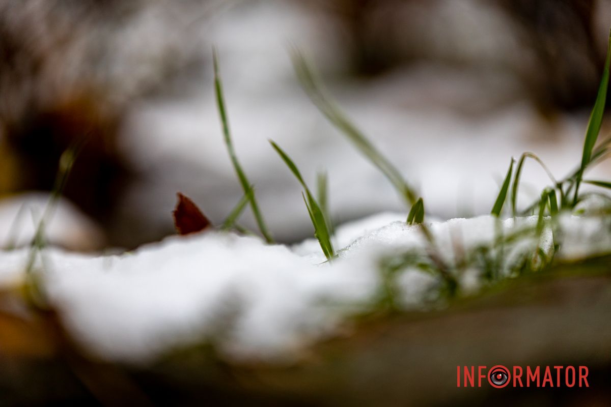 Как вам фото? Как вам фото?