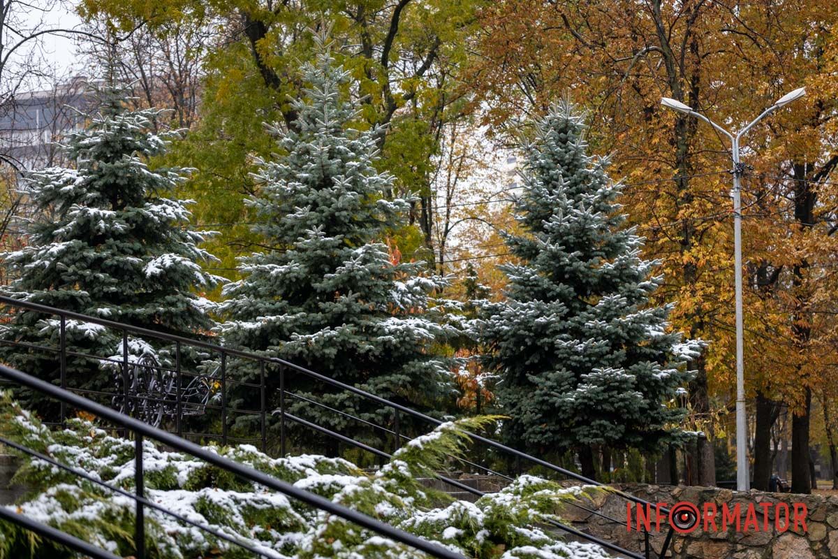Утренняя прохлада на заснеженных улицах Утренняя прохлада на заснеженных улицах