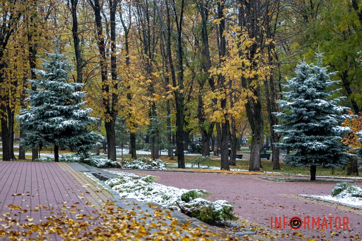 Тонкий слой снега на газонах Тонкий слой снега на газонах