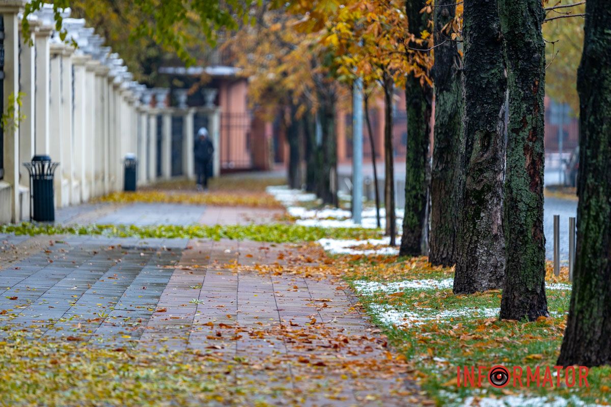 Парк Шевченко Парк Шевченко