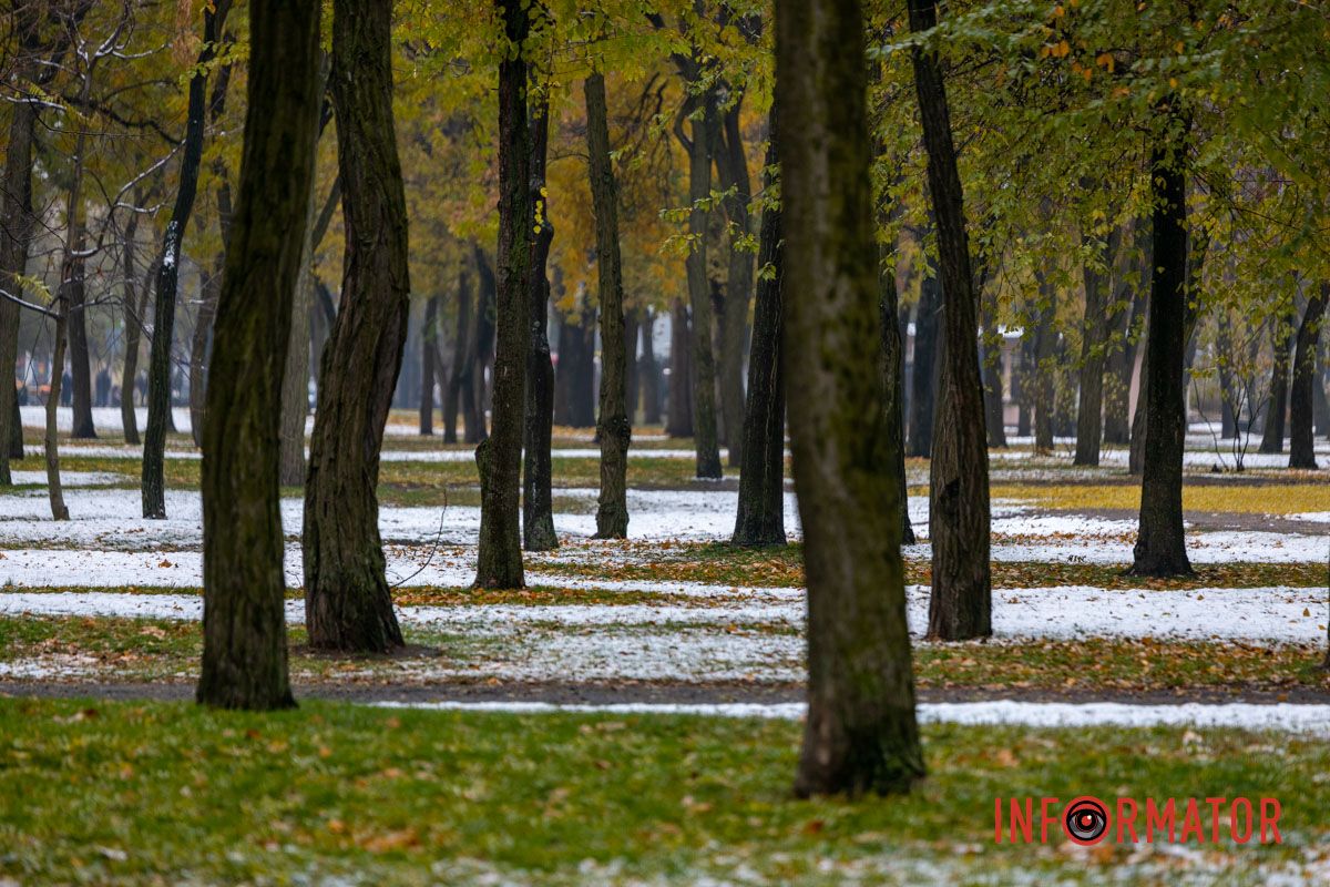 Природа готовится к зиме Природа готовится к зиме