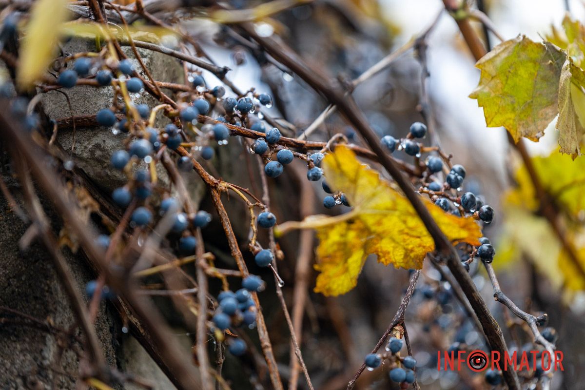 Парк под белым покровом снега Парк под белым покровом снега