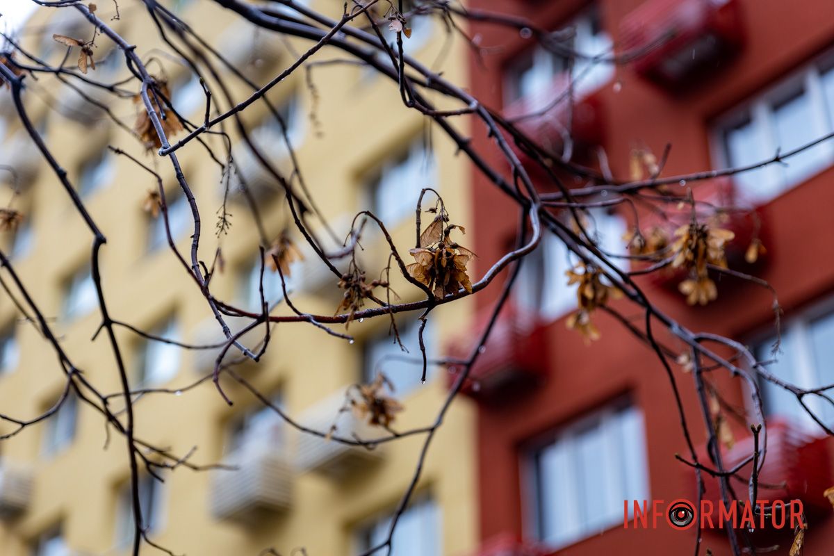 Термомодернизация этого дома Термомодернизация этого дома началась в мае