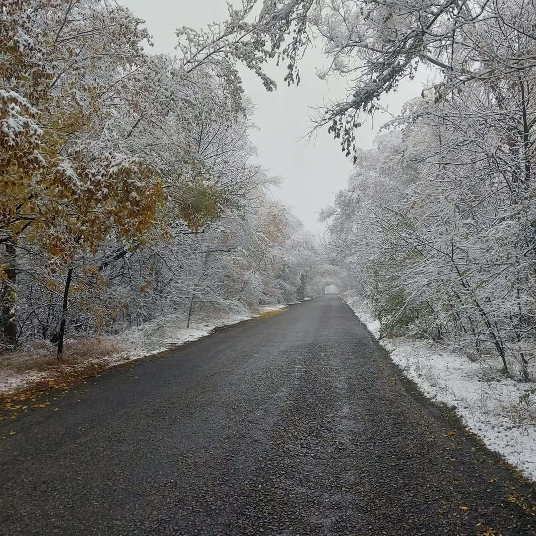 onichenkoirina26 onichenkoirina26