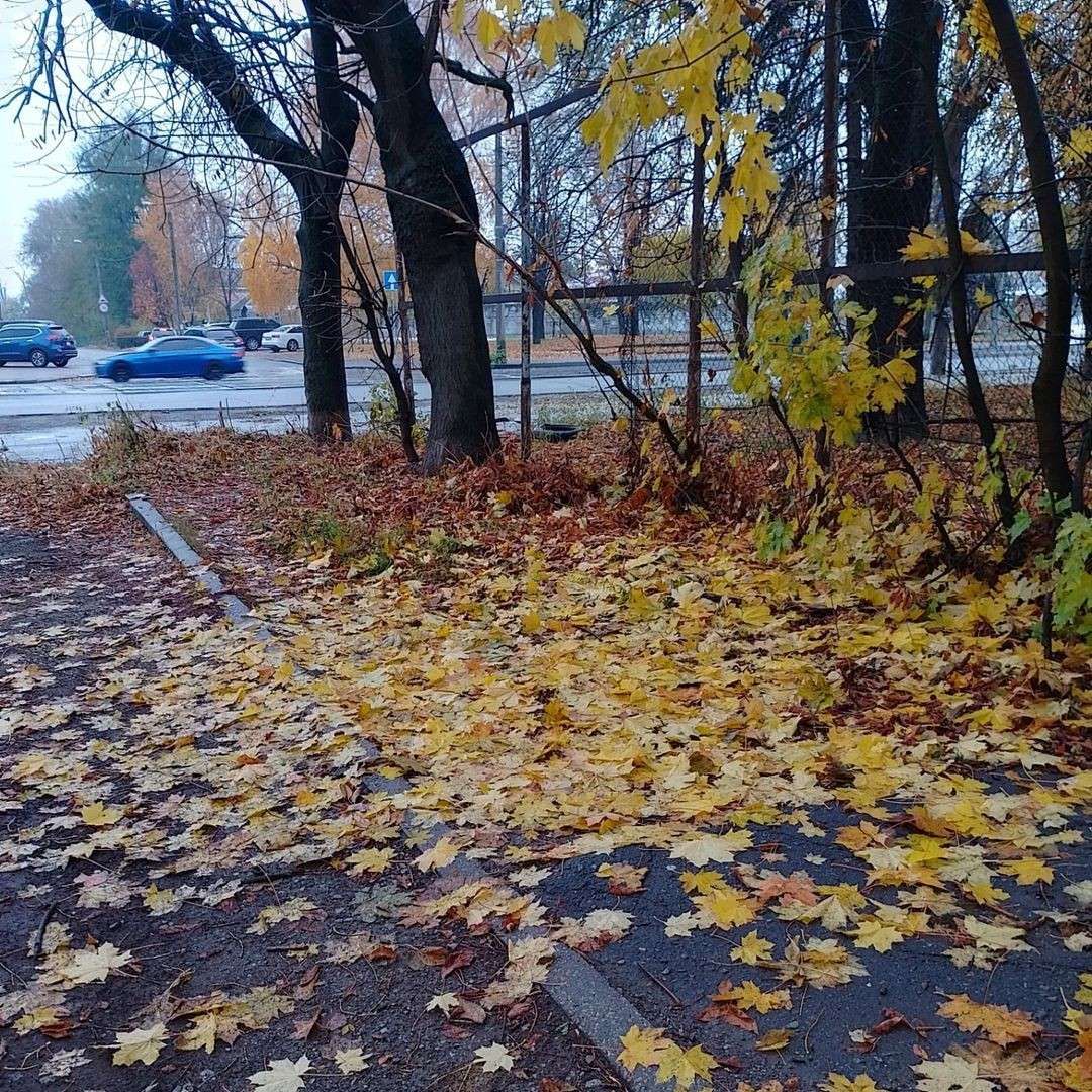 allgrink allgrink