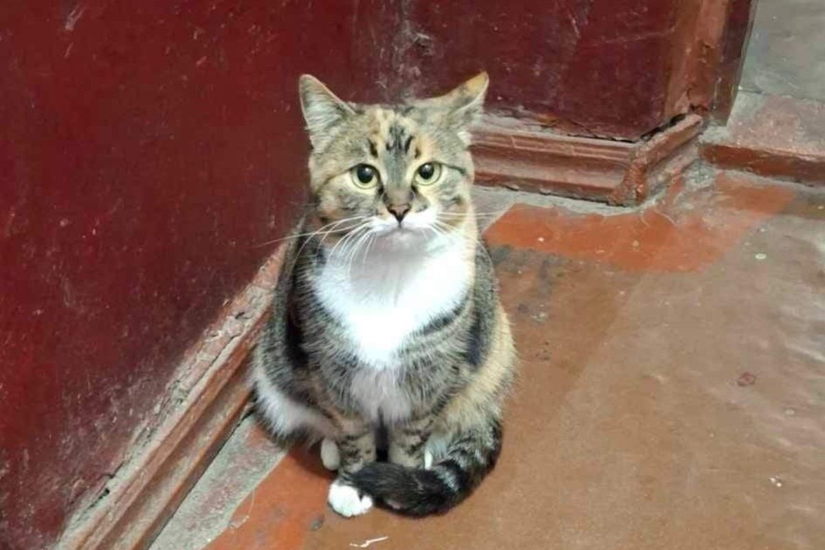 Девочка скучает в одиночестве Девочка скучает в одиночестве