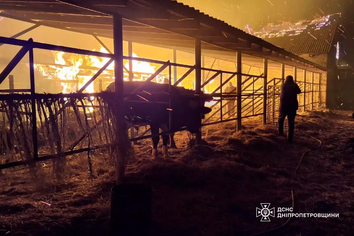 Там загорілась конеферма Загинуло понад 140 тварин: у Дніпропетровській області згоріла конеферма 2
