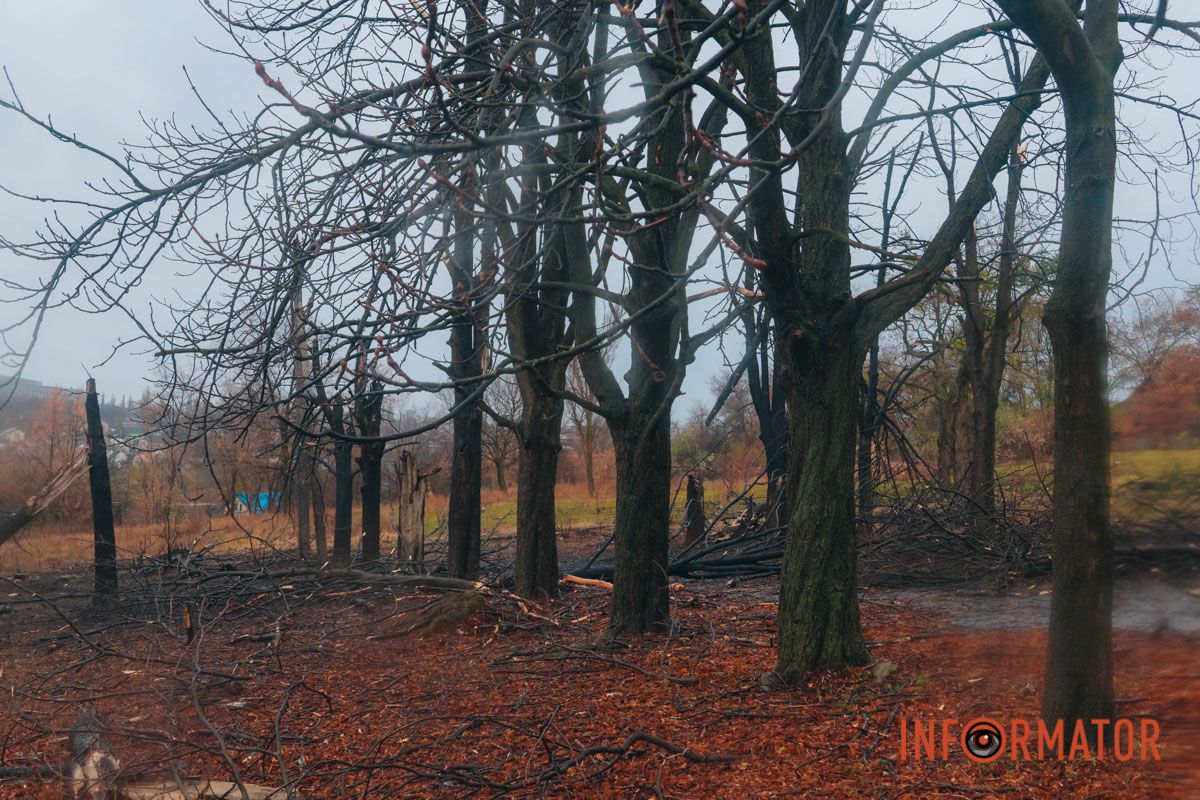 Вогонь приборкали рятувальники