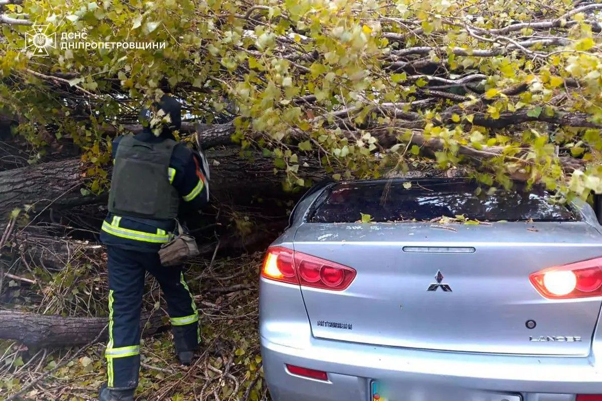 В Никополе дерево упало на Mitsubishi
