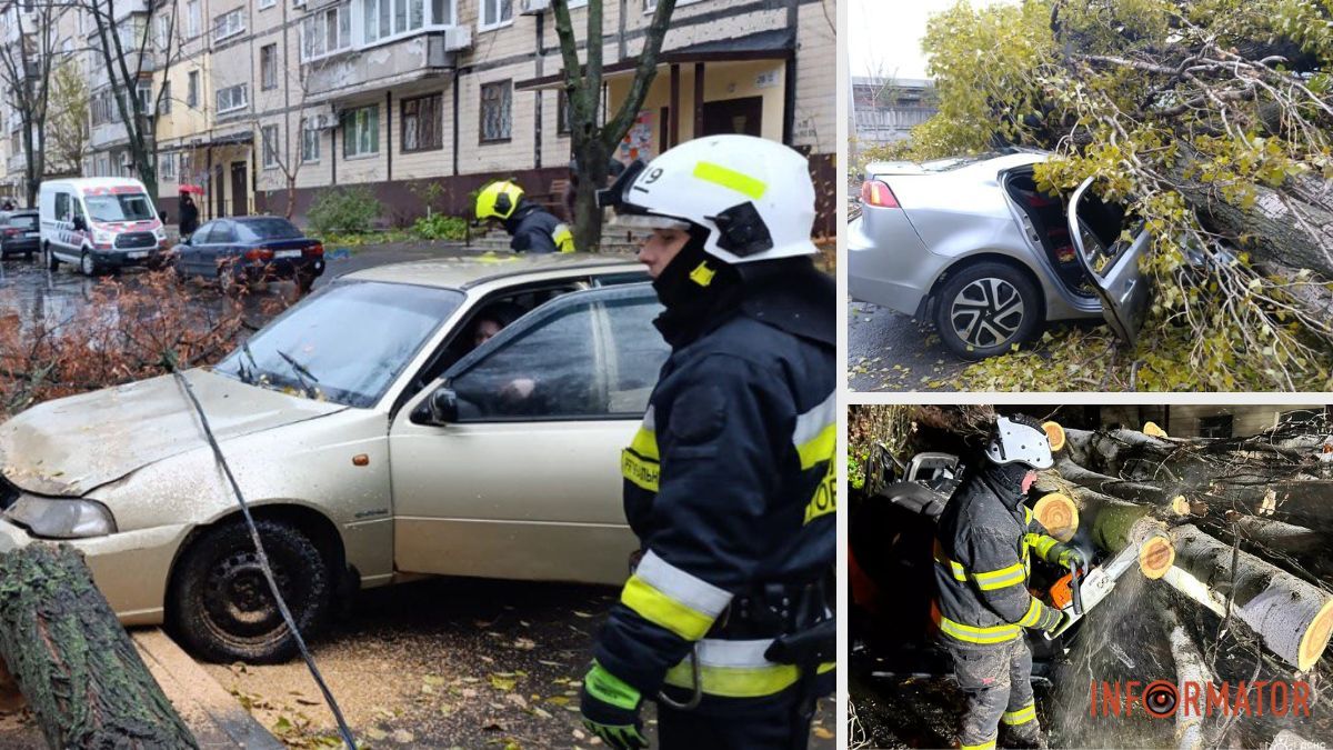 Здувало дерева, стовпи та обривало дроти: наслідки негоди у Дніпрі та області 21 листопада