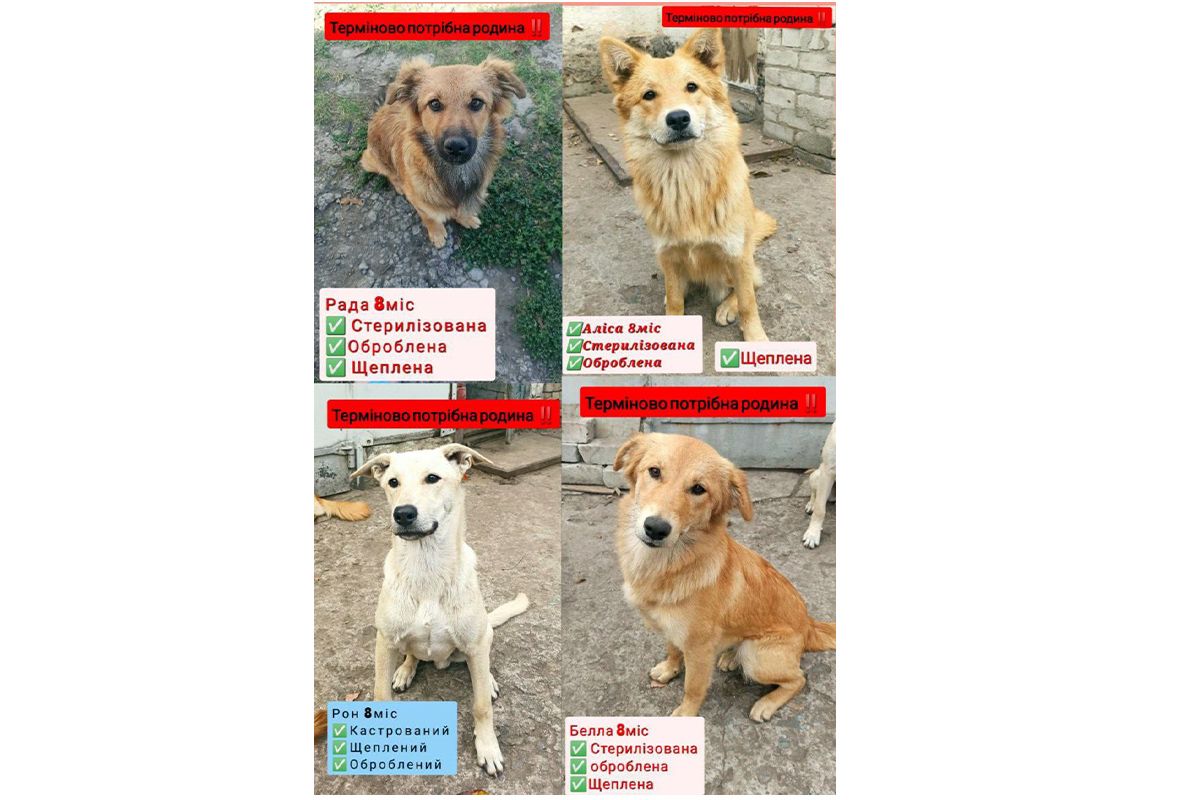 Допоможіть їх врятувати