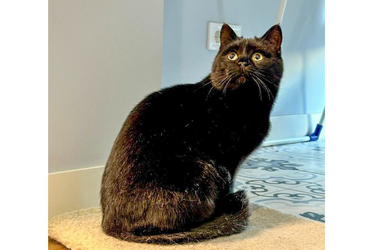 Вони потребують вашої підтримки