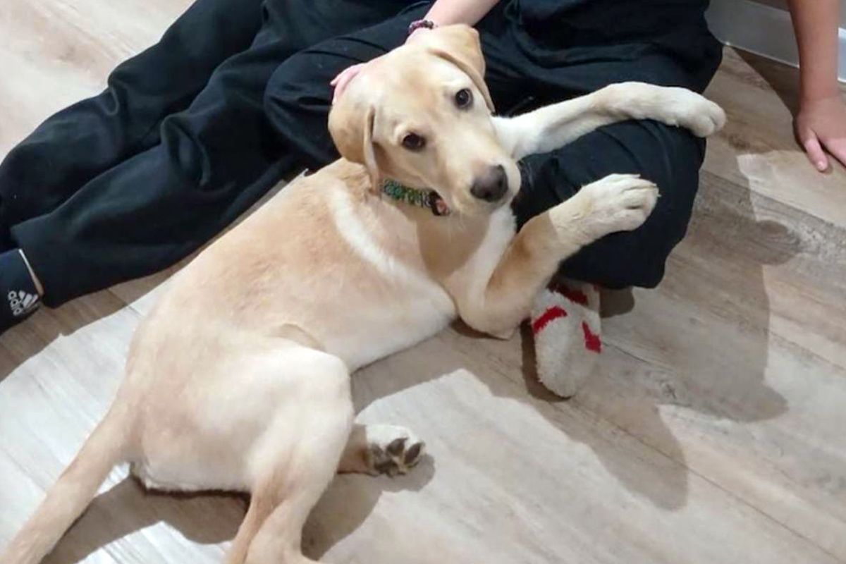 Ви тільки подивіться на нього