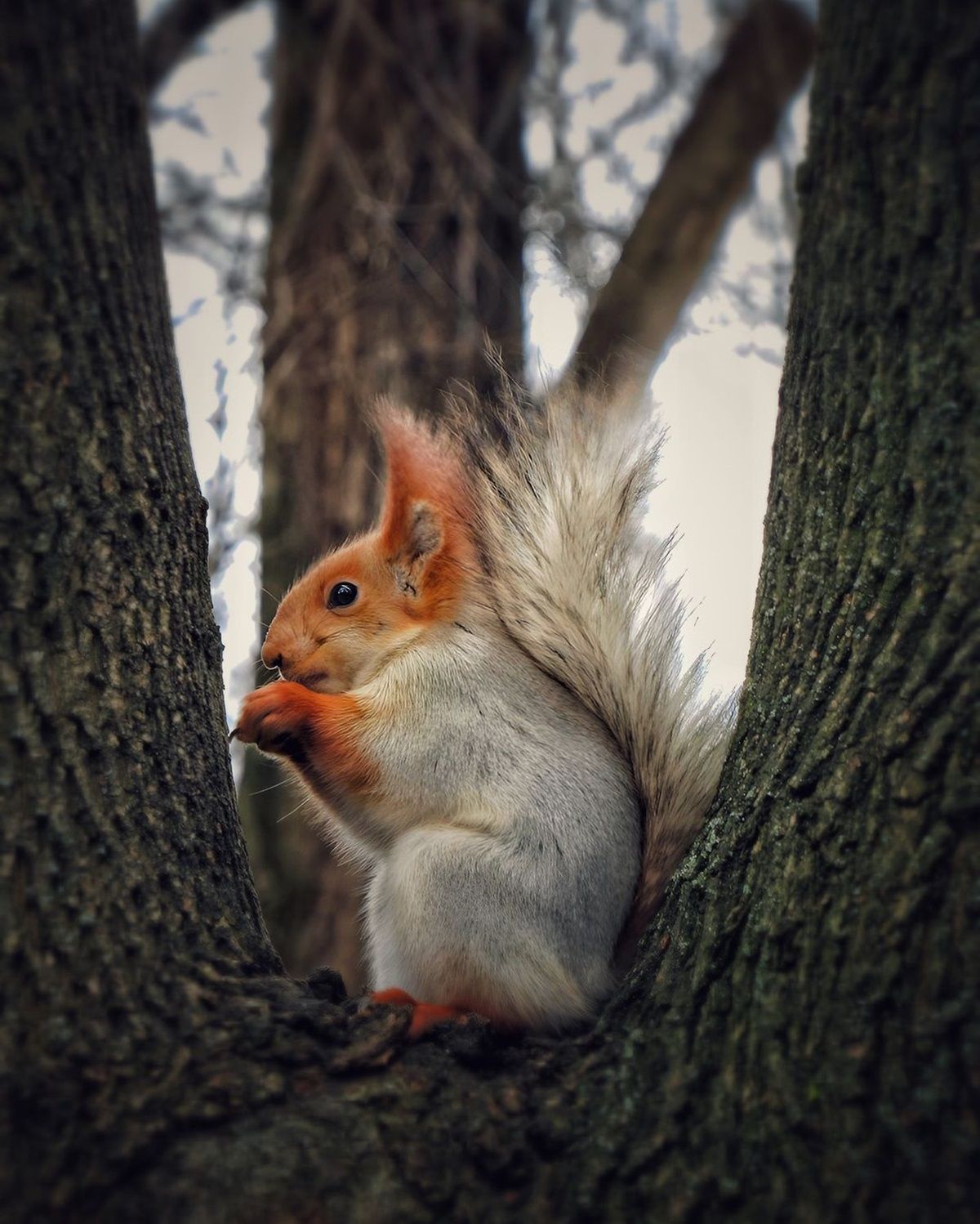 Фото: @photographer_andrey_moroz Фото: @photographer_andrey_moroz
