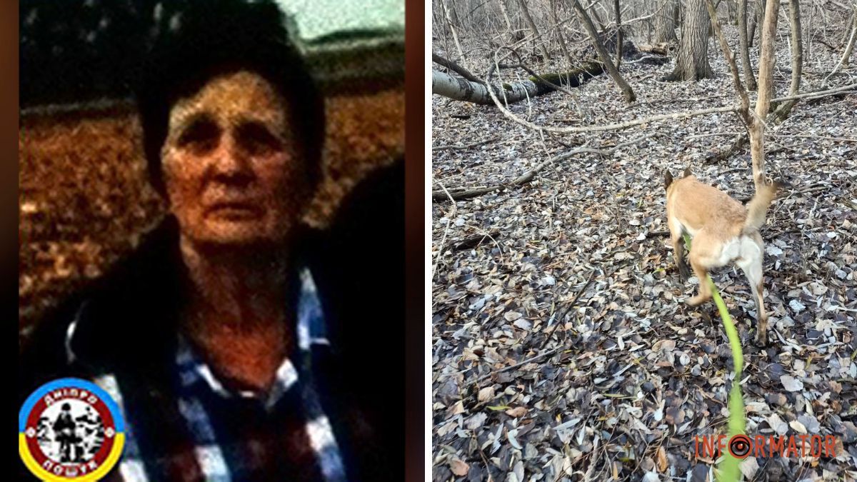 У Дніпровському районі шукають зниклу жінку 