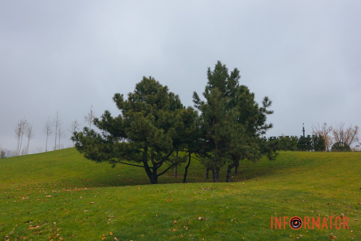 Словно окунул в покрывало: правый берег Днепра покрыл густой туман 2